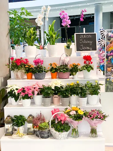 Kwiaciarnia Magnolia